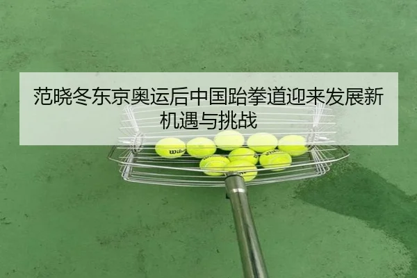 fan-xiao-dong-dong-jing-ao-yun-hou-zhong-guo-tai-quan-dao-ying-lai-fa-zhan-xin-ji-yu-yu-tiao-zhan-2-252.jpg