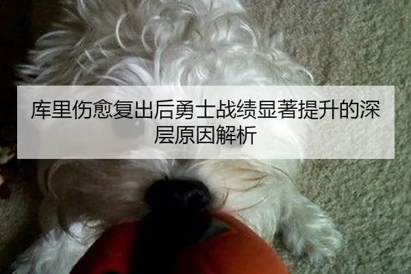 库里伤愈复出后勇士战绩显著提升的深层原因解析